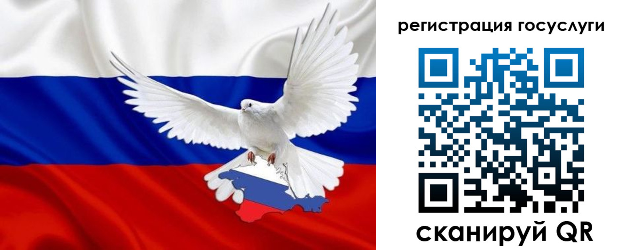 прописка законно в Торопеце